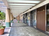 河田町ガーデン 河田町ガーデン19