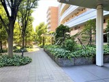 河田町ガーデン 河田町ガーデン39