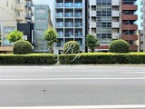 ズーム錦糸町 ズーム錦糸町7