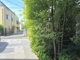 ビーロット千駄木レジデンス ビーロット千駄木レジデンス14