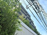 ビーロット千駄木レジデンス ビーロット千駄木レジデンス3