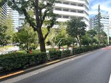 ブリリアタワー浜離宮 ブリリアタワー浜離宮11