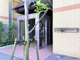 レジディア六本木檜町公園 レジディア六本木檜町公園8