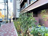 ＲＪＲプレシア菊川駅前 ＲＪＲプレシア菊川駅前10
