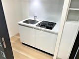 ルネサンスコート押上 ルネサンスコート押上30