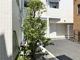 グランパセオ新宿余丁町 グランパセオ新宿余丁町7