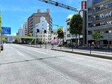 フェリーチェプランドール フェリーチェプランドール10