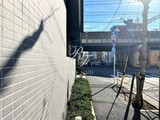 エムズ両国亀沢 エムズ両国亀沢11