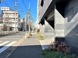 エムズ両国亀沢 エムズ両国亀沢12