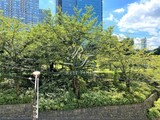 パークアクシス六本木檜町公園 パークアクシス六本木檜町公園60