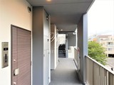ジニア浅草 ジニア浅草26