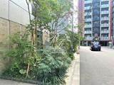 エスセナーリオ麻布十番 エスセナーリオ麻布十番12