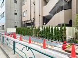 プライマル月島 プライマル月島6