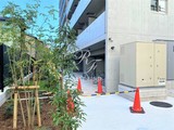 シーフォルム住吉 シーフォルム住吉9
