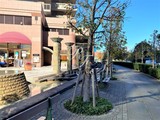 恵比寿ガーデンテラス弐番館 恵比寿ガーデンテラス弐番館16