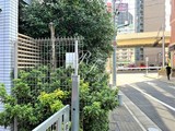 ＳＩＬ西五反田 外観 物件画像11