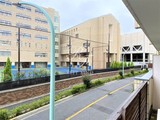 ヴェルデ青山 2LDK 物件画像9