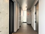 ズーム椎名町 共用部 物件画像8