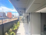 リージア下北沢 ジオエント下北沢25