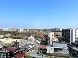 クオリタス品川南 1R・1K 物件画像20