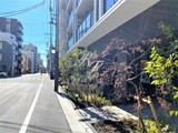 ジオエント錦糸町 ジオエント錦糸町16