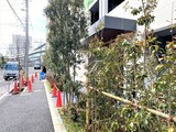 プレディアコート森下テラス プレディアコート森下テラス8