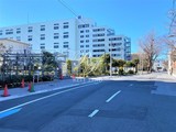 プライマル南砂 プライマル南砂5