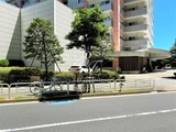 キャナルファーストタワー キャナルファーストタワー12