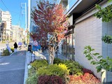 プライムメゾン大塚 プライムメゾン大塚10
