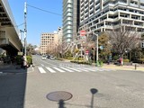 トルナーレ日本橋浜町 トルナーレ日本橋浜町11