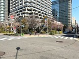 トルナーレ日本橋浜町 トルナーレ日本橋浜町12