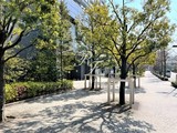 トルナーレ日本橋浜町 トルナーレ日本橋浜町13