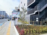 AR向島 AR向島11