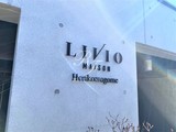 コンフォリア本駒込一丁目 リビオメゾン本駒込12