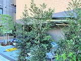ブライズ東池袋 ブライズ東池袋8