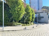 パークアクシス恵比寿 パークアクシス恵比寿12