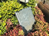 クリオ戸越銀座壱番館 クリオ戸越銀座壱番館15