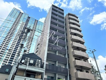 セルビシエ白金 セルビシエ白金1
