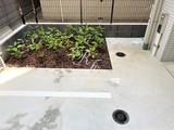 クオリタス押上 共用部 物件画像5
