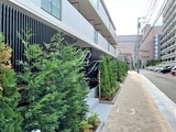 パークアクシス東陽町レジデンス パークアクシス東陽町レジデンス12
