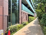 シーズンフラッツ高田馬場リバーサイド シーズンフラッツ高田馬場リバーサイド11