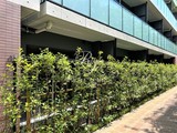 シーズンフラッツ高田馬場リバーサイド シーズンフラッツ高田馬場リバーサイド12