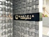 ガリシア錦糸町4 ガリシア錦糸町Ⅳ11