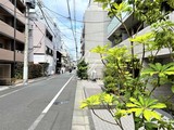 アルテシモエジス アルテシモエジス11