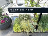 コスモリード原宿 コスモリード原宿12