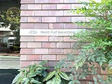プラウドフラット中落合 プラウドフラット中落合17