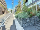 ブリリアイスト渋谷本町 ブリリアイスト渋谷本町12