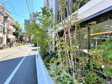 プライムメゾン西早稲田 プライムメゾン西早稲田15