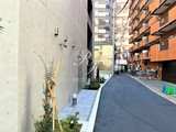 シーフォルム江戸川橋 共用部 物件画像7