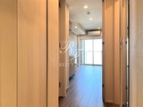 イプセ住吉 1DK・1LDK 物件画像1